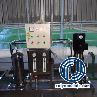 HỆ THỐNG RO - SẢN XUẤT NƯỚC ĐÁ TINH KHIẾT 2500LH