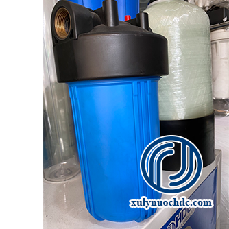 LY LỌC BIGBLUE 10"